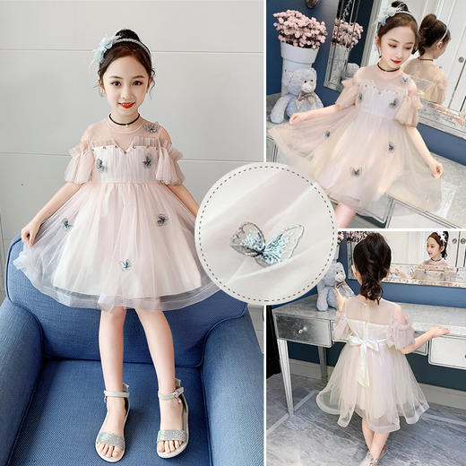 MN-2020040711夏新款女童韩版洋气蝴蝶刺绣网纱公主连衣裙 商品图1
