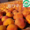 伊犁霍城杏干238g*3袋 商品缩略图1