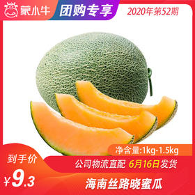 【水果团购】海南丝路晓蜜瓜1KG-1.5KG