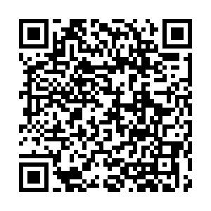 砍价测试333 商品图0