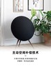 B&O A9 MK3 一体式无线音箱 商品缩略图2