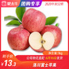 【水果团购】洛川富士苹果1.0KG±50g 商品缩略图0