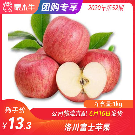 【水果团购】洛川富士苹果1.0KG±50g 商品图0