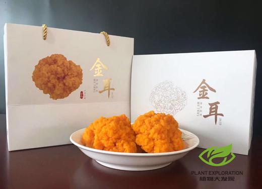 2张安安卡送妃子笑荔枝5斤，再送云南珍稀金耳500g 商品图2