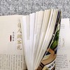 《这就是中华传统礼仪》 3-14岁 青少年礼仪学习指南 中华传统文化礼仪故事诗词 商品缩略图6
