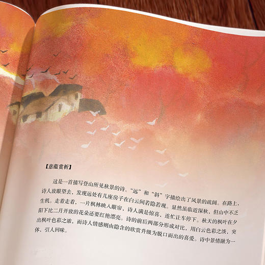 给孩子最美古诗词 好读 选编 中国成语大会总冠军彭敏温馨推荐 115首经典诗词定制126幅精美插画 少儿文学诗歌书籍 商品图3