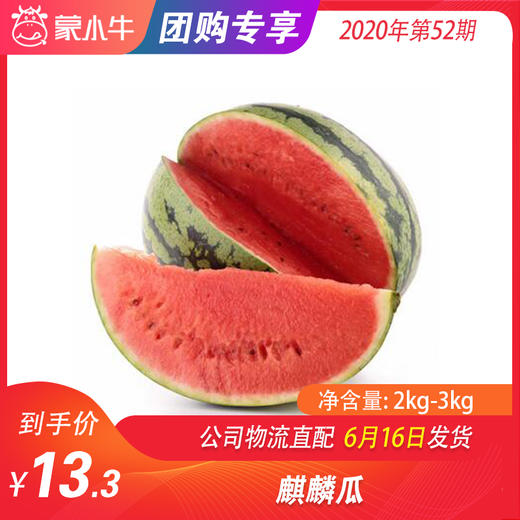 【水果团购】麒麟瓜2KG-3KG 商品图0