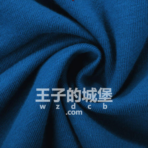 帆船 童装男童 做旧字母 圆领长袖T恤 特惠 NK30 商品图11