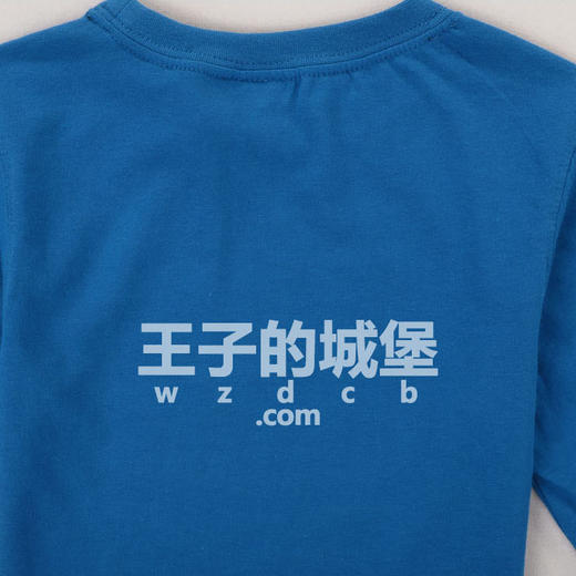 帆船 童装男童 字母混纺 圆领长袖T恤 特惠 NK28 商品图9