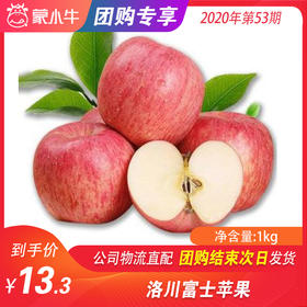 【水果团购】洛川富士苹果1.0KG±200g