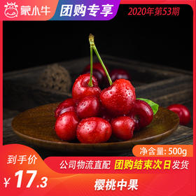 【团购】樱桃中果  500g