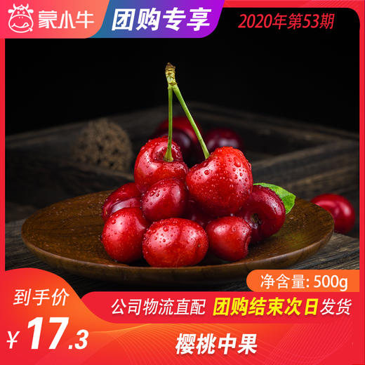 【团购】樱桃中果  500g 商品图0
