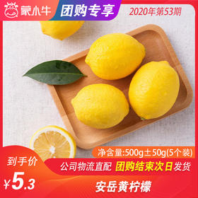 【水果团购】黄柠檬 500g±50g（5个装）