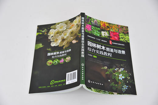 园林树木图鉴与造景综合实践教程  刘慧民 园林绿化书籍 树种分类学地位产地与分布形态特征生态习性与造景园林造景特色与园林应用 商品图4
