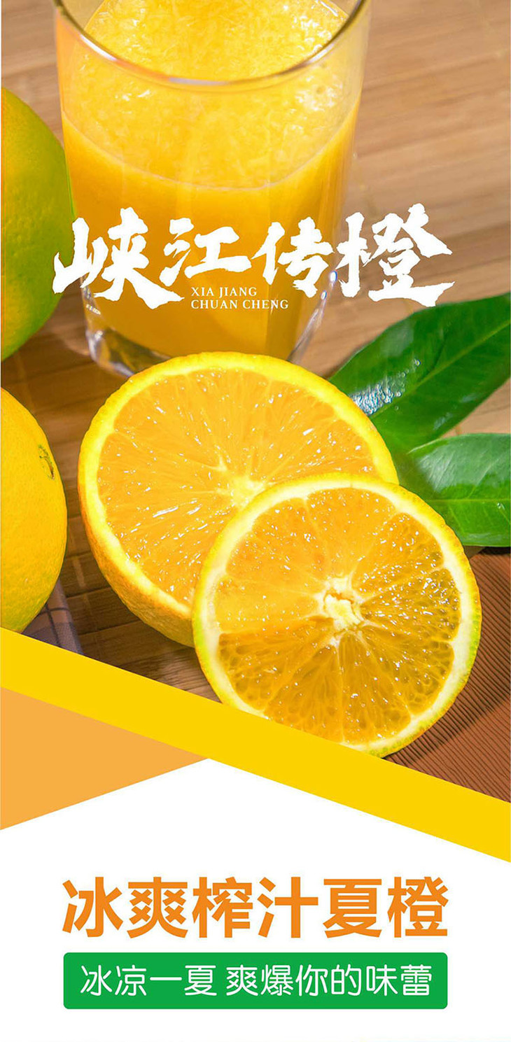 【峡江传橙】秭归阳光榨汁夏橙 净重10斤(果径70-85mm