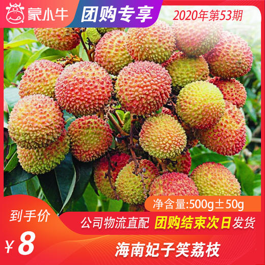 【水果团购】海南妃子笑荔枝500g±50g 商品图0
