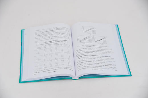 纳米材料及其光催化物理化学 黄在银 李星星 纳米材料精准制备及其原位生长过程的规律及机理 纳米科学纳米材料化学光催化科研书籍 商品图2