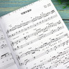 中老年喜爱的钢琴弹唱歌曲158首 五线谱版 300首流行钢琴弹唱曲 改编简单的伴奏肢体 有清晰的和弦功能标记 曲集容量庞大内容经典 商品缩略图2