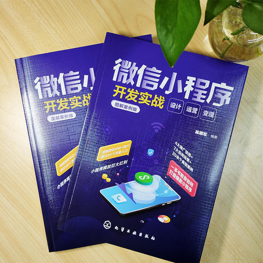 微信小程序开发实战 设计 运营 变现 图解案例版 本书采用图解+案例的形式 介绍了微信小程序的开发运营技巧 结合不同的场景 商品图2