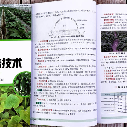 蔬菜程式化栽培技术 第二版 蔬菜合作社蔬菜公司蔬菜协会家庭农场等对蔬菜生产进行规范化程式化管理也可供广大菜农参考书籍 商品图2