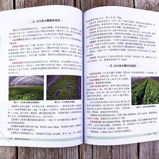 蔬菜程式化栽培技术 第二版 蔬菜合作社蔬菜公司蔬菜协会家庭农场等对蔬菜生产进行规范化程式化管理也可供广大菜农参考书籍 商品图4