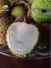 妃子笑荔枝，肉厚核小2500g，超甜 商品缩略图1