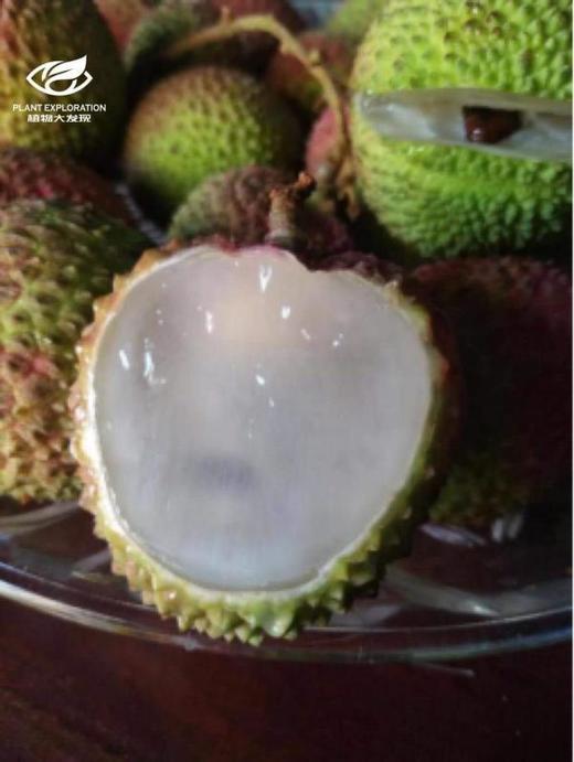 妃子笑荔枝，肉厚核小2500g，超甜 商品图1