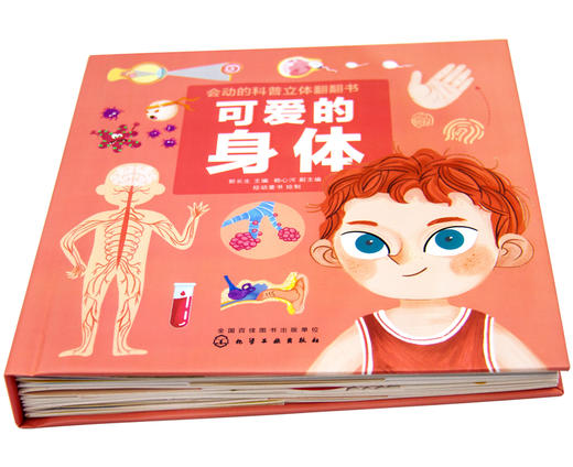 《会动的科普立体翻翻书：可爱的身体》揭秘身体运转的秘密，树立自我保护意识 商品图8