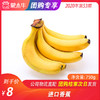 【团购】进口香蕉 750g 商品缩略图0