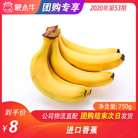 【团购】进口香蕉 750g