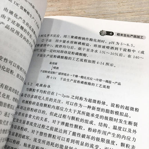 稻米深加工 米制食品加工稻米生化产品加工米粉河粉方便米饭糙米食品米淀粉基质脂肪模拟品等产品生产工艺操作要点 轻工业食品加工 商品图4