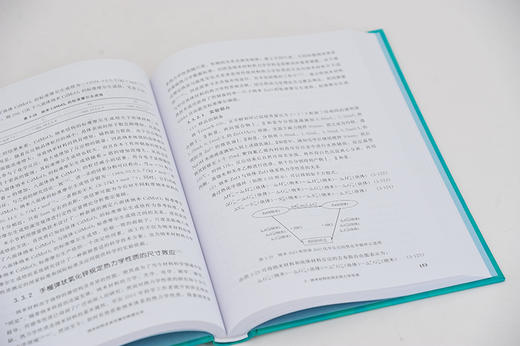 纳米材料及其光催化物理化学 黄在银 李星星 纳米材料精准制备及其原位生长过程的规律及机理 纳米科学纳米材料化学光催化科研书籍 商品图4