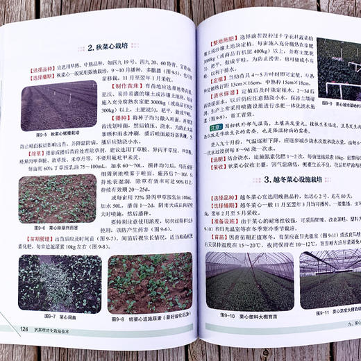 蔬菜程式化栽培技术 第二版 蔬菜合作社蔬菜公司蔬菜协会家庭农场等对蔬菜生产进行规范化程式化管理也可供广大菜农参考书籍 商品图3