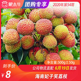 【水果团购】海南妃子笑荔枝500g±50g