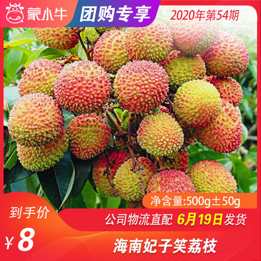 【水果团购】海南妃子笑荔枝500g±50g 商品图0