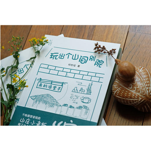 玩出个山间别院  山居 民宿 二冬 山居七年 借山而居 慢半拍 梦想很可贵 却不一定很贵 治愈爆笑的小院故事 无数人的栖身之所 商品图2