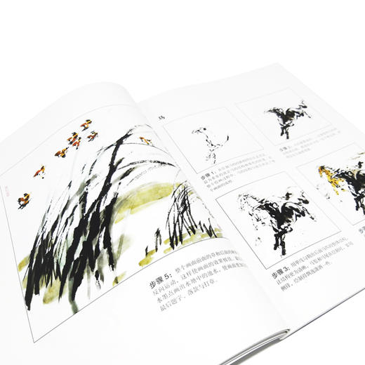 国画基础教程 花鸟篇 国画入门基础教程书临摹画册入门书画画书教材美术教程水墨画教程写意画技法书中国画技法入门到精通教材教程 商品图4
