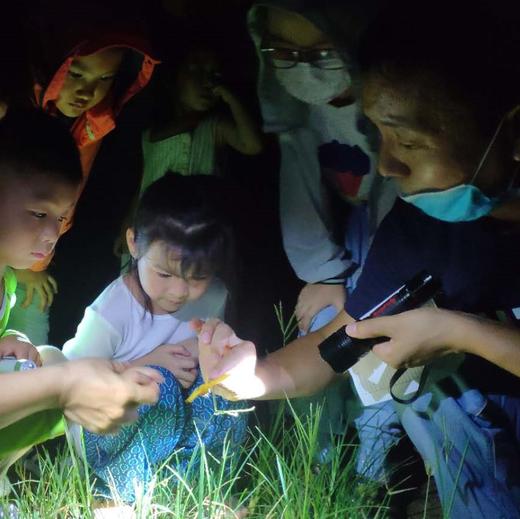 夜观动物活动 | 农园活动 * Night view  in the farm | Farm activities 商品图1