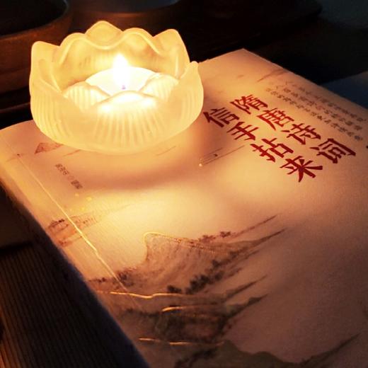 隋唐诗词信手拈来 黄淑贞 中国隋唐古典诗歌作品集 作文创作编辑撰稿文案写作等诗词名句使用案头工具书 中国古诗词大全集鉴赏书 商品图3