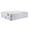 Sealy丝涟床垫 ELEGANT LUSTRE珞彩 商品缩略图4
