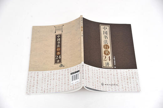 中国书法行书24讲 书法书写姿势书法基本功临摹范本字体练习本执笔用笔中国书法发展史书大篆小篆草书楷书行书隶书书碑帖讲解解析 商品图4