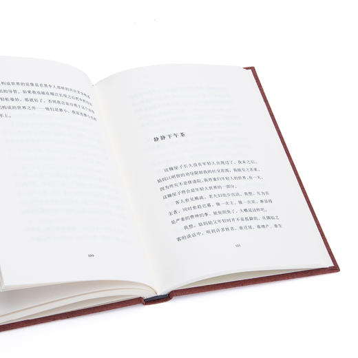 豹变 (布面精装“木心精选集”)木心 商品图3