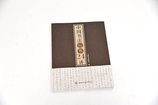 中国书法行书24讲 书法书写姿势书法基本功临摹范本字体练习本执笔用笔中国书法发展史书大篆小篆草书楷书行书隶书书碑帖讲解解析 商品图3