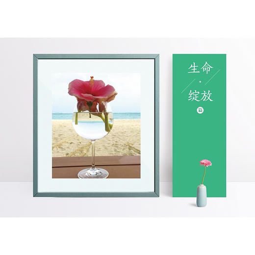 陪你“跑”进生命深处——心灵之旅的101个故事 心理学读物 商品图2