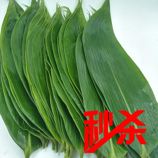 【时令热销】恩施粽叶 50片/包 商品图0