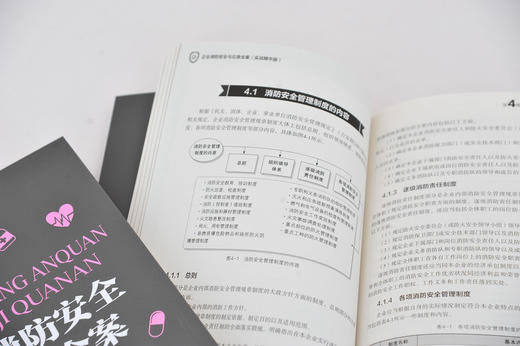 企业安全健康与应急管理丛书 企业消防安全与应急全案 实战精华版 杨顺清 火灾隐患车道疏散防火救水电梯防水栓喷雾淋浴参考 商品图4