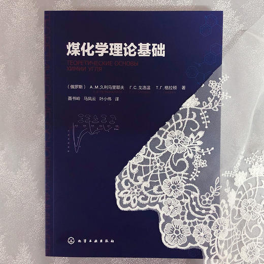 煤化学理论基础 商品图3