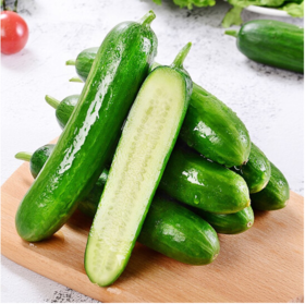 【清脆爽口】水果黄瓜 (约500g±50g)