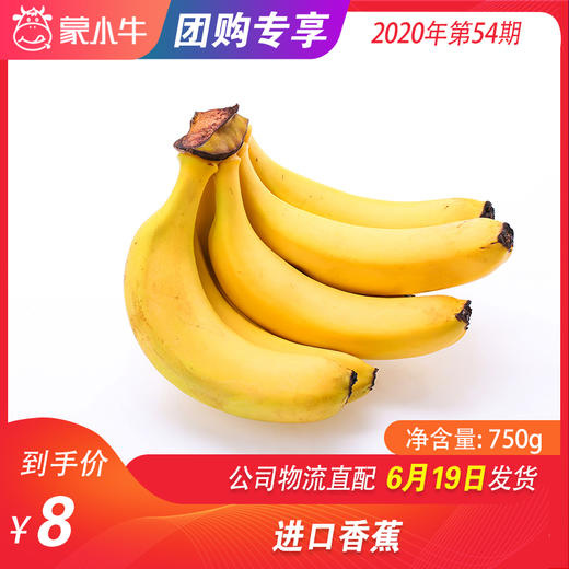 【团购】进口香蕉 750g 商品图0
