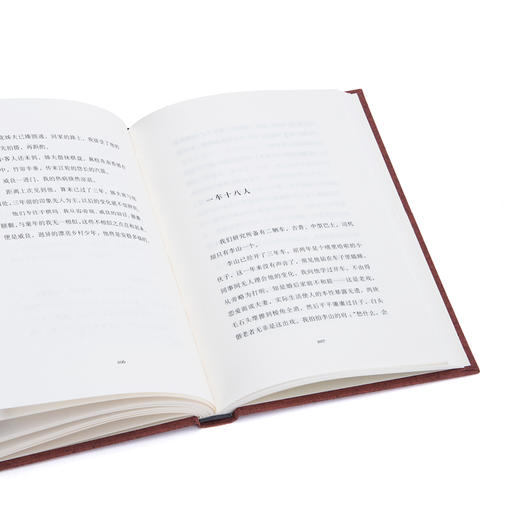 豹变 (布面精装“木心精选集”)木心 商品图2